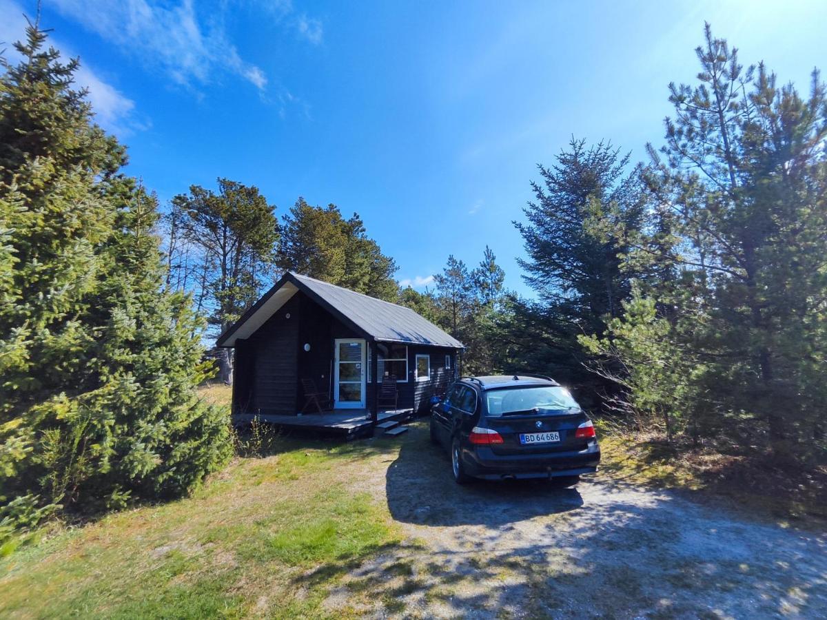Camping Tranum Klit Og Hytteudlejning